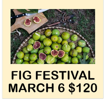 Fig Festival March 6